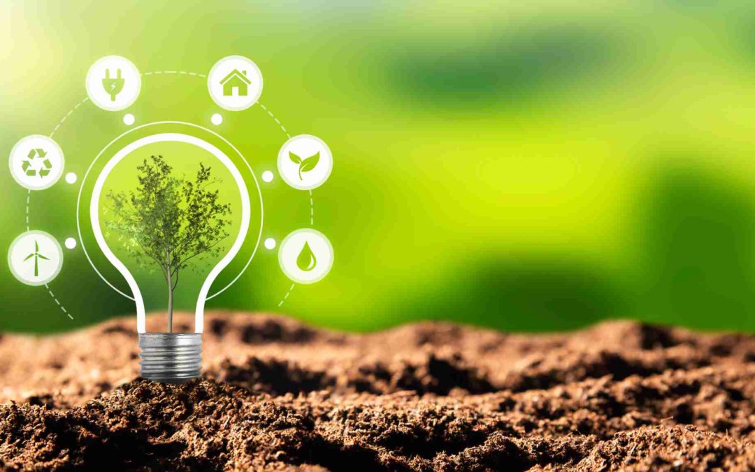 Introduction to Sustainability in Business