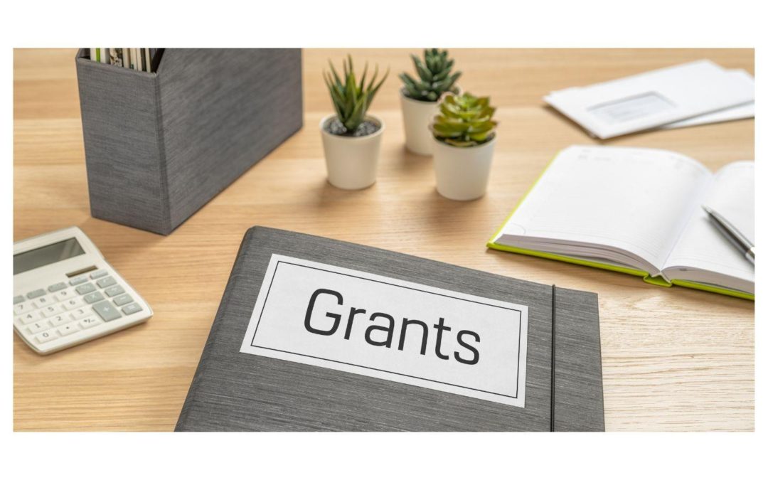 Application Guidance for Business Growth & Adaptions Grant