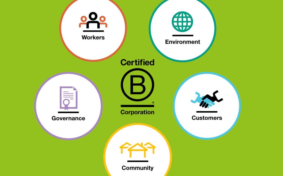 B Corp Introduction: First Steps for Small Businesses