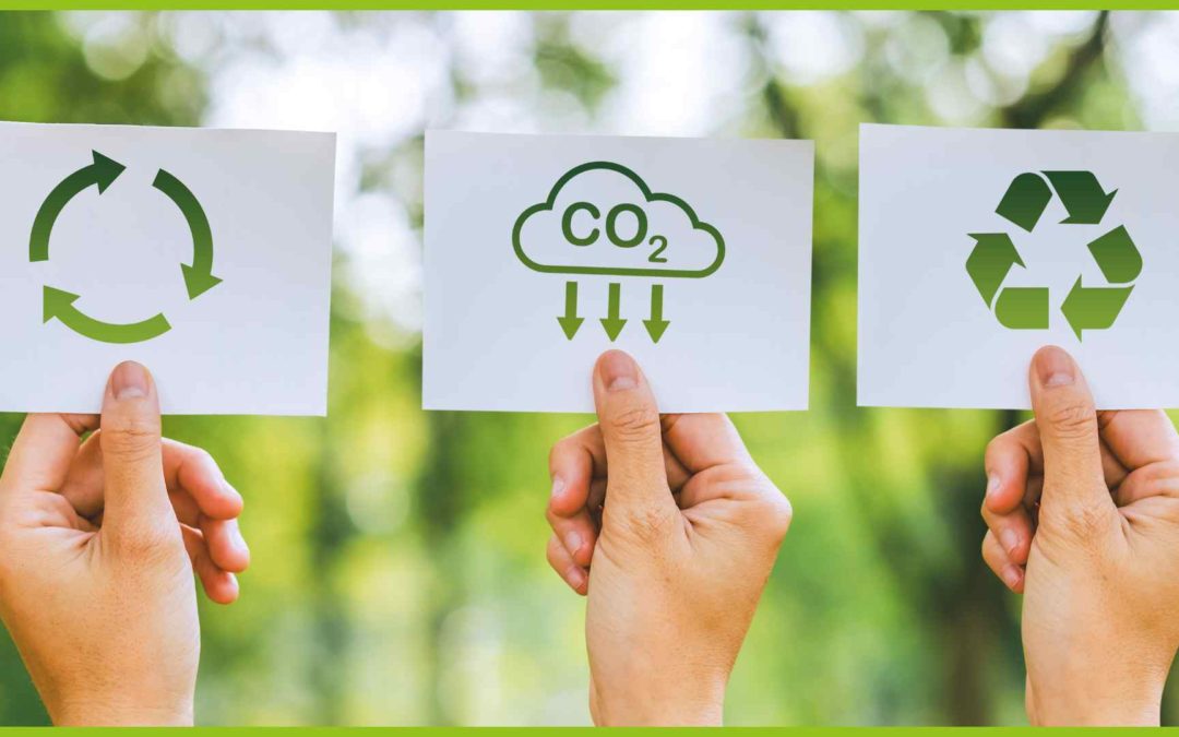 Introduction to Sustainability in Business