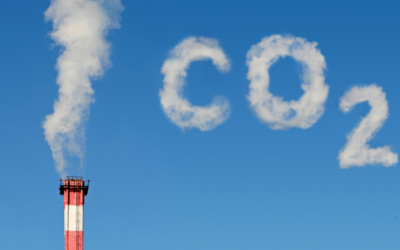 Carbon Footprint vs Carbon Shadow
