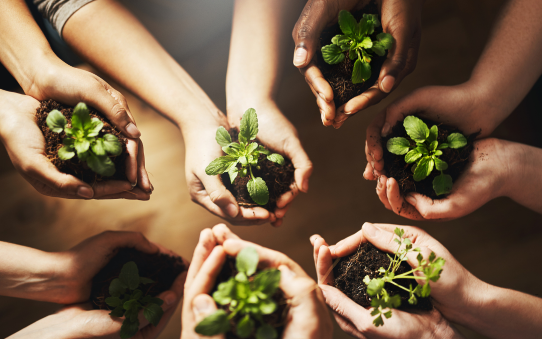 Several pairs of hands in a circle-holding herbs in handful of soil
