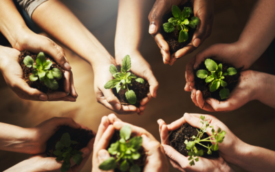 Just One Thing: The Power of Small Changes